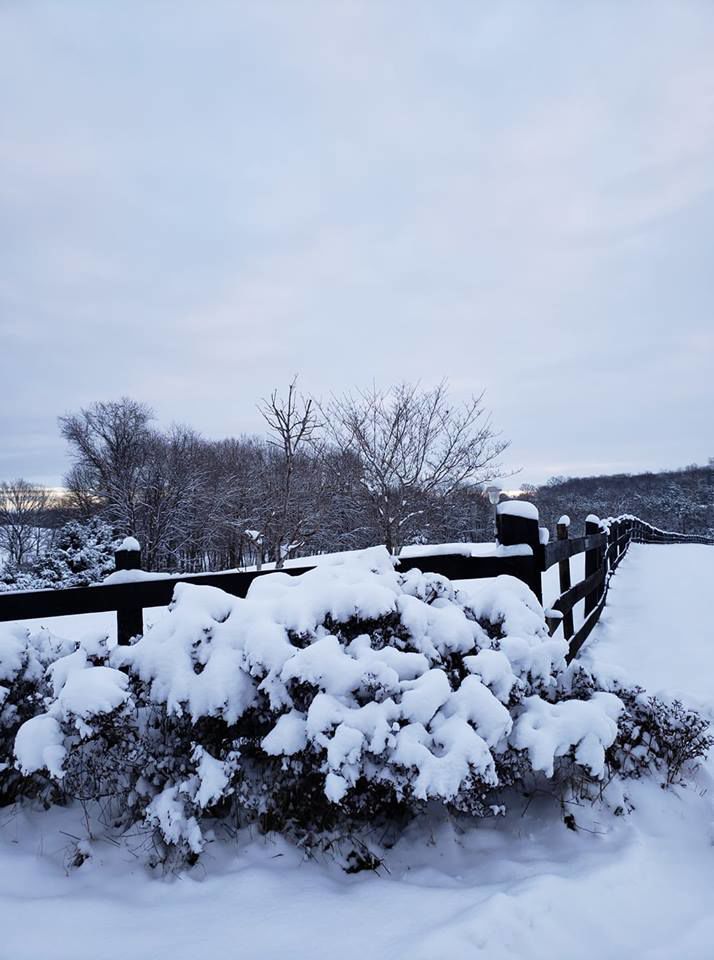 jan snow Jody Ramey4.jpg