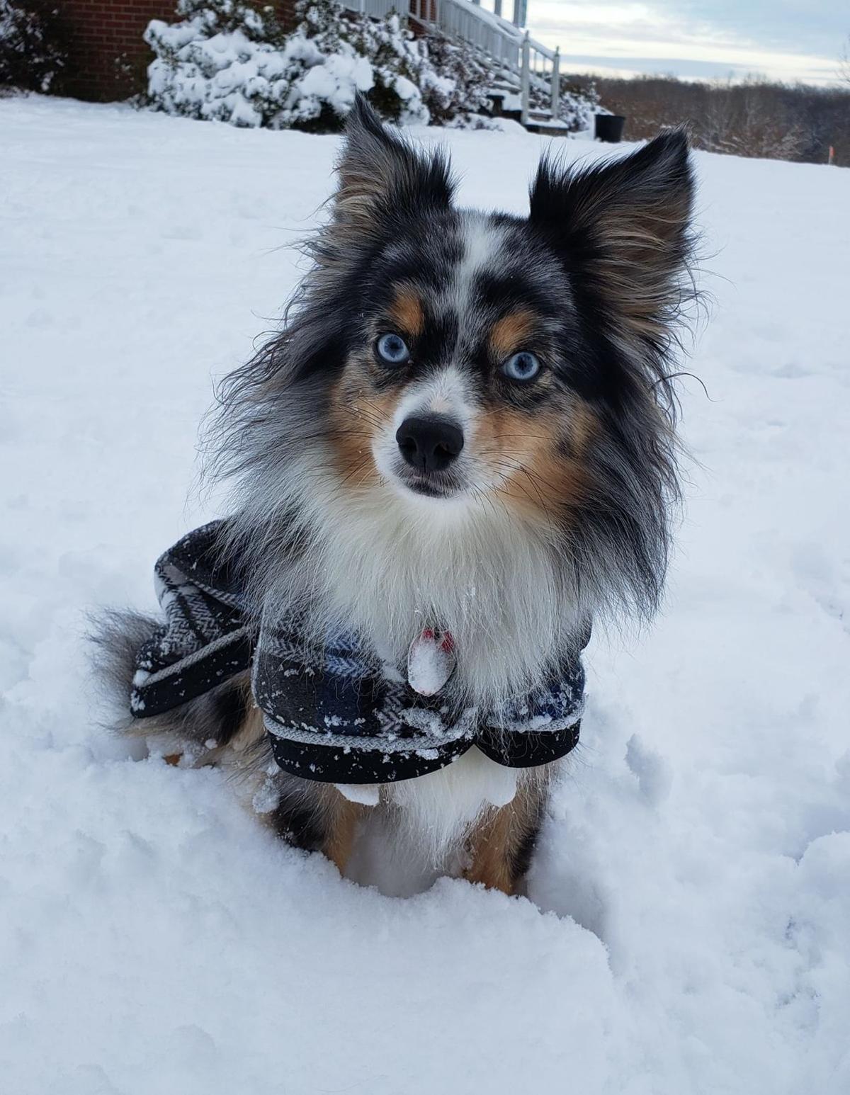 jan snow Jody Ramey3.jpg
