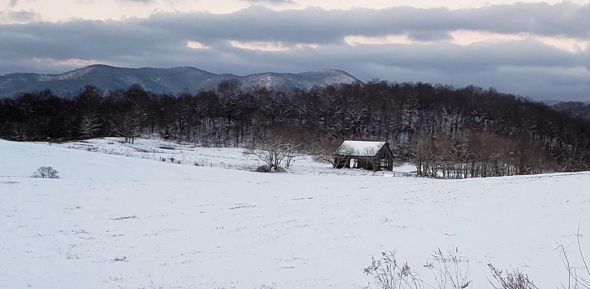 jan snow Jody Ramey2.jpg