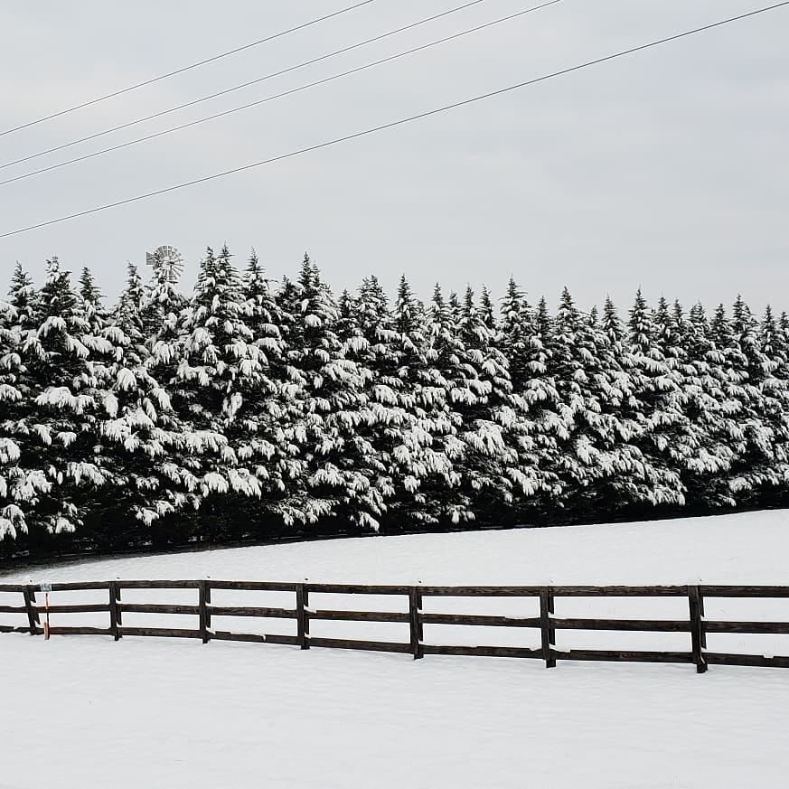 jan snow Jody Ramey.jpg
