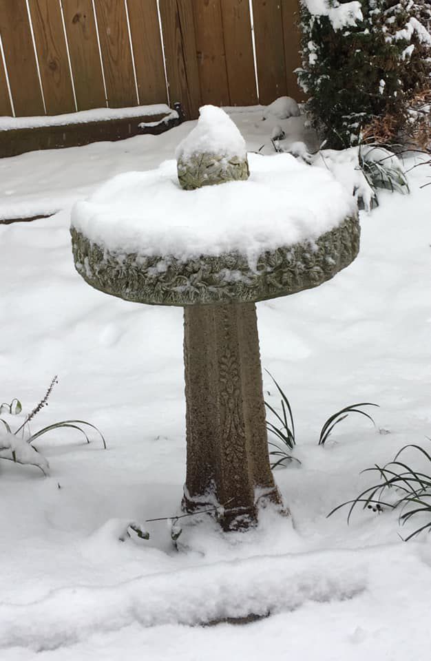 jan snow Gale Jenkins Mullikin.jpg