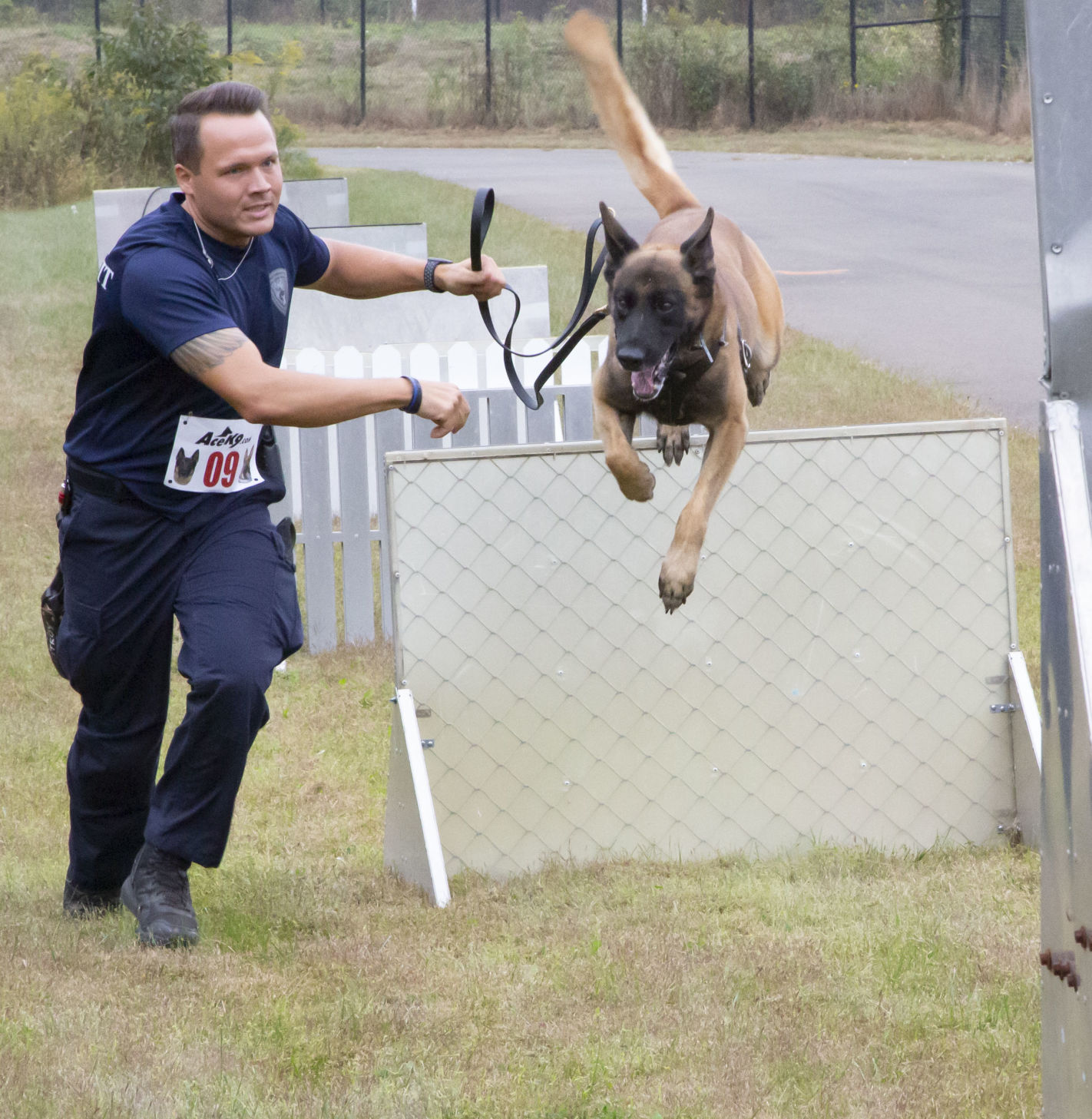 versatile k9 agility