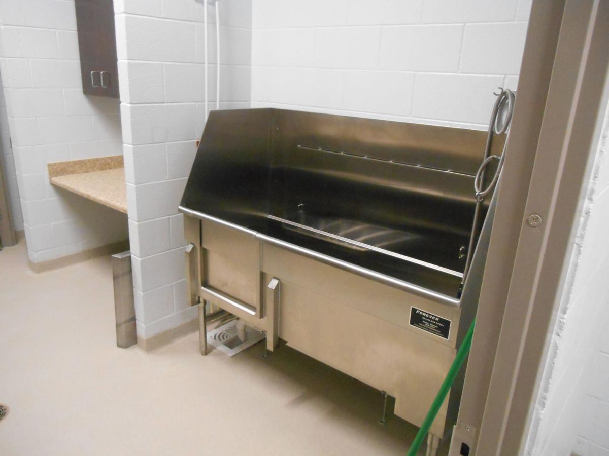 New Middleburg Humane Foundation Shelter In Marshall To Open In October News Fauquier Com