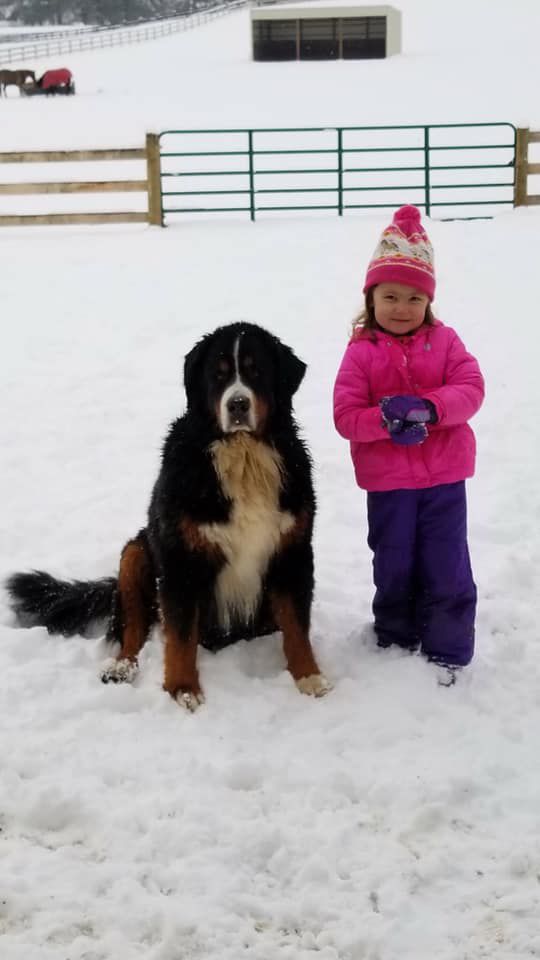 jan snow Kristy Willwerth Truck and Locklyn.jpg