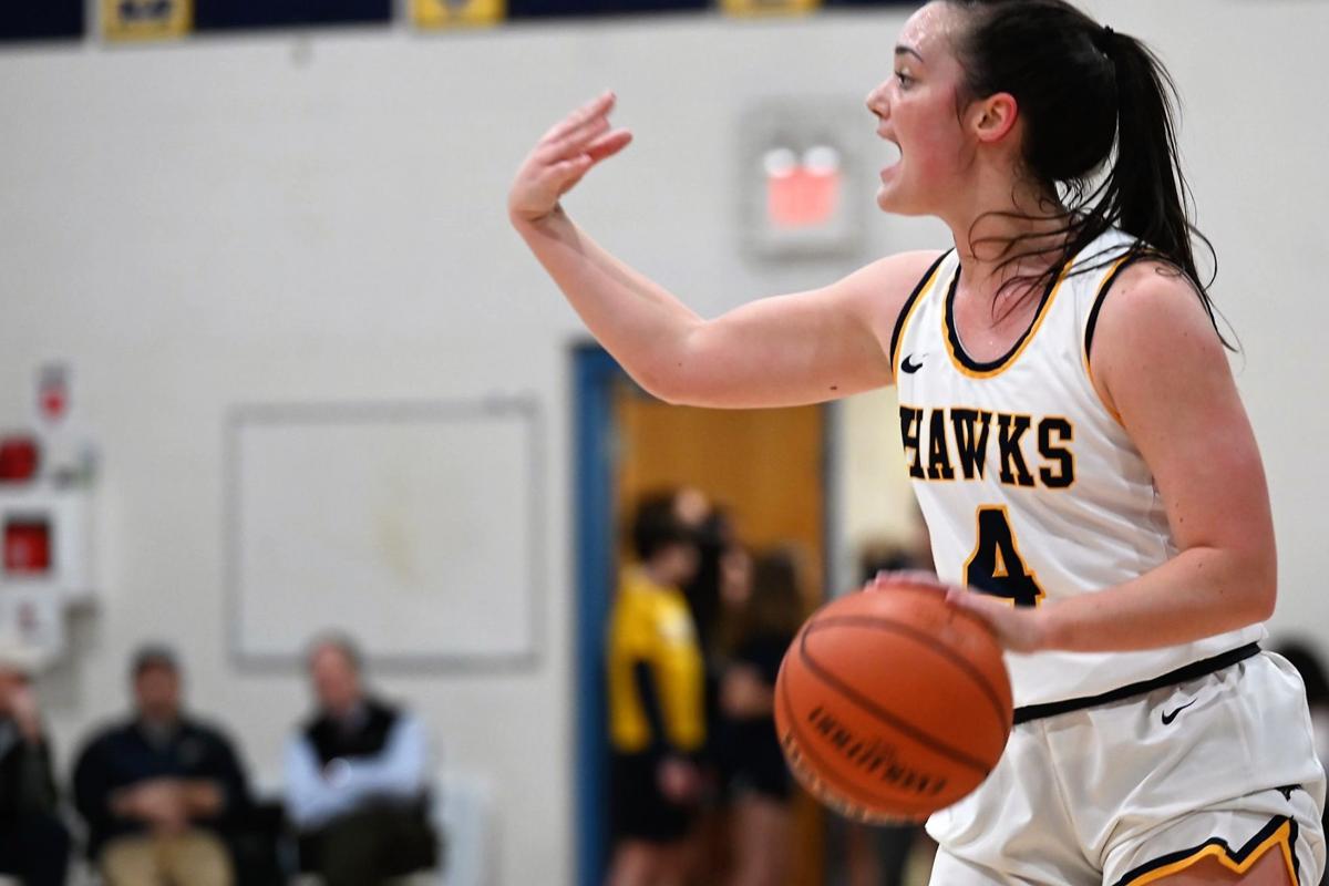 Girls Basketball Delaney Athletic All Conference Teams Announced
