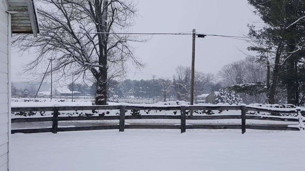 jan snow Michael Hutton Purcellville.jpg