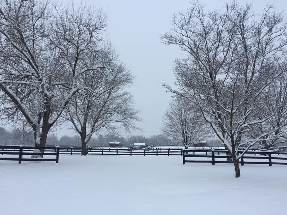 jan snow Mandy Hutton Upperville.jpg