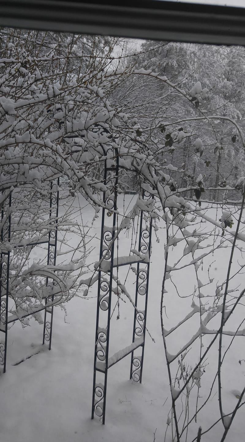 jan snow Nancy Cain Huffine.jpg