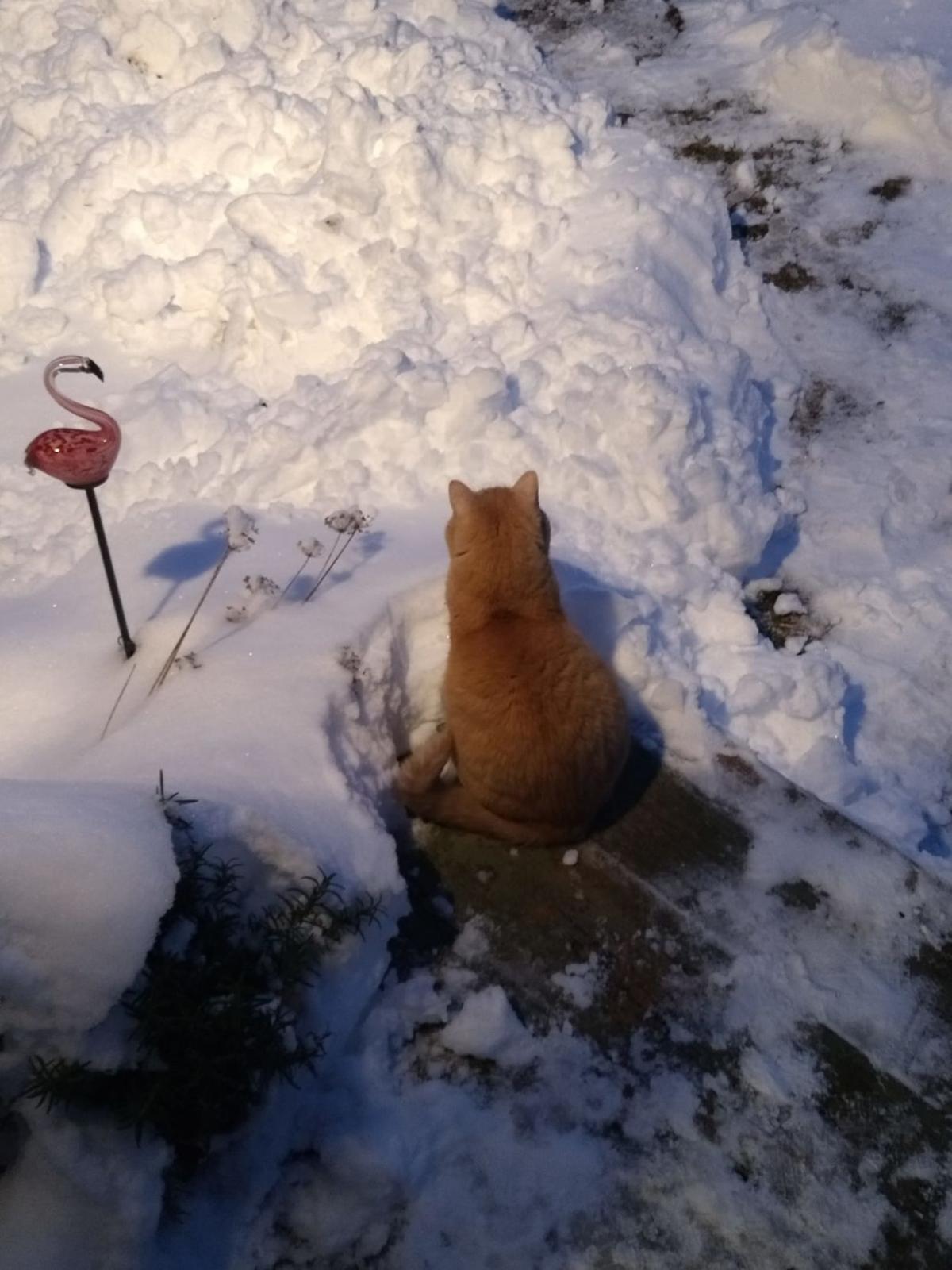 jan snow Shawn Teer Venturing out in Halfway.jpg