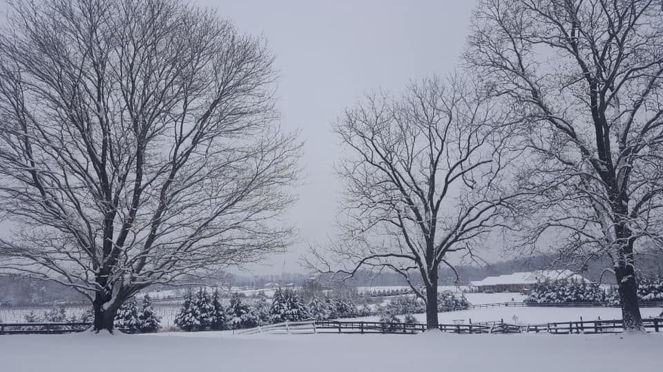 jan snow Rieger Katherine Snow day at Molon Lave Vineyards!.jpg