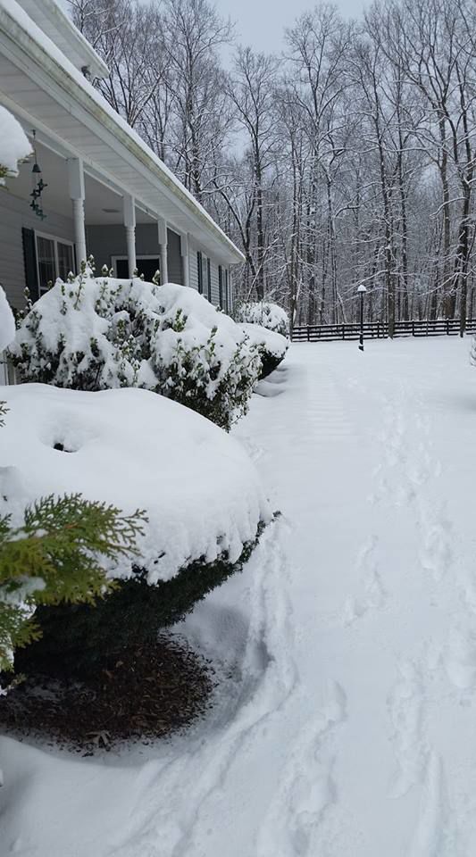 jan snow Mary Jo Meding New Baltimore.jpg