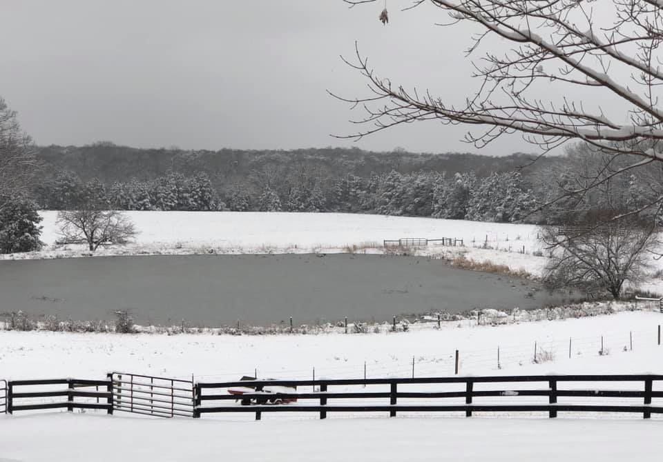 jan snow Sue Davis Southern Fauquier.jpg