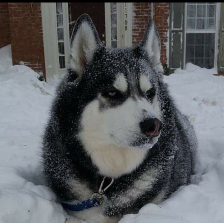 jan snow Ed Bean.jpg