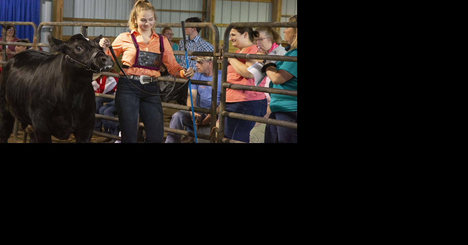 2019 Fauquier County 4H Show and Sale shows off studentraised