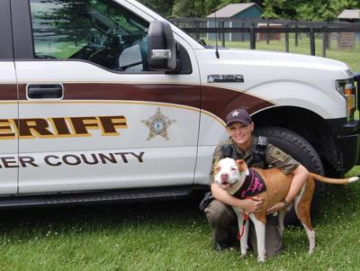 Animal control officer aims to educate community about preventing animal cruelty | News Animal control officer aims to educate community about preventing animal cruelty | News