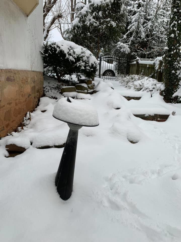 jan snow Karen Thoden.jpg