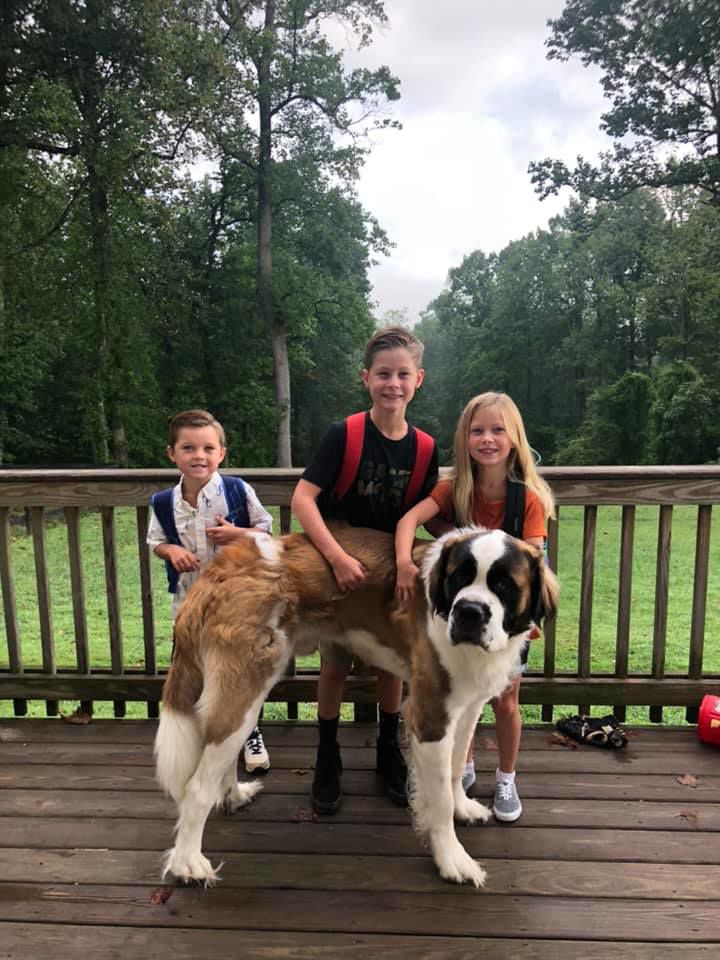 bts Emily Graham Chase K Bradley Piper 2nd Bradley Wyatt 4th Bradley Ruger - stay at home dog.jpg