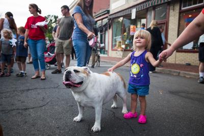 Warrenton Dog Park To Open This Summer Leash Law In Effect Now