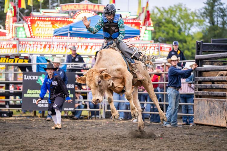 PHOTOS Bucking bulls and bull riders at the 2024 Fauquier County Fair