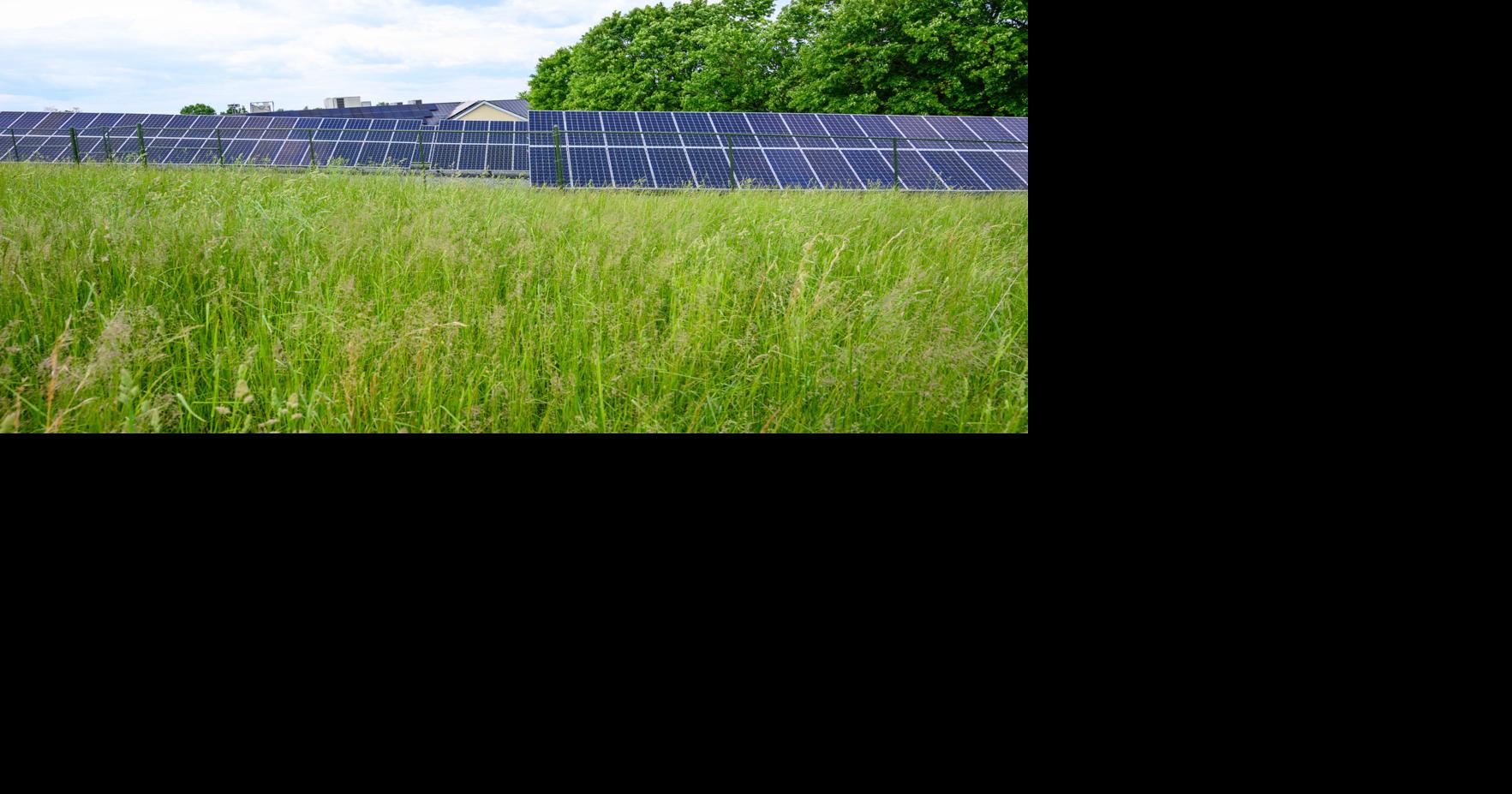 Solar field dedicated at the Hill School of Middleburg | News ...