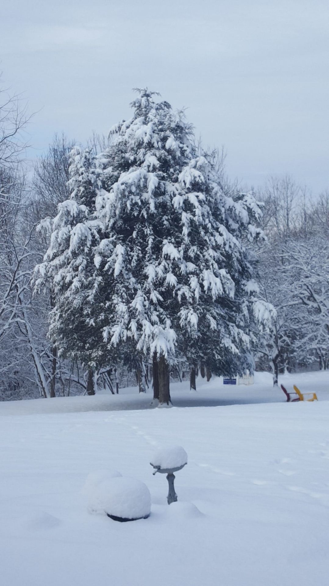jan snow Gary Joyce Bozella2.jpg