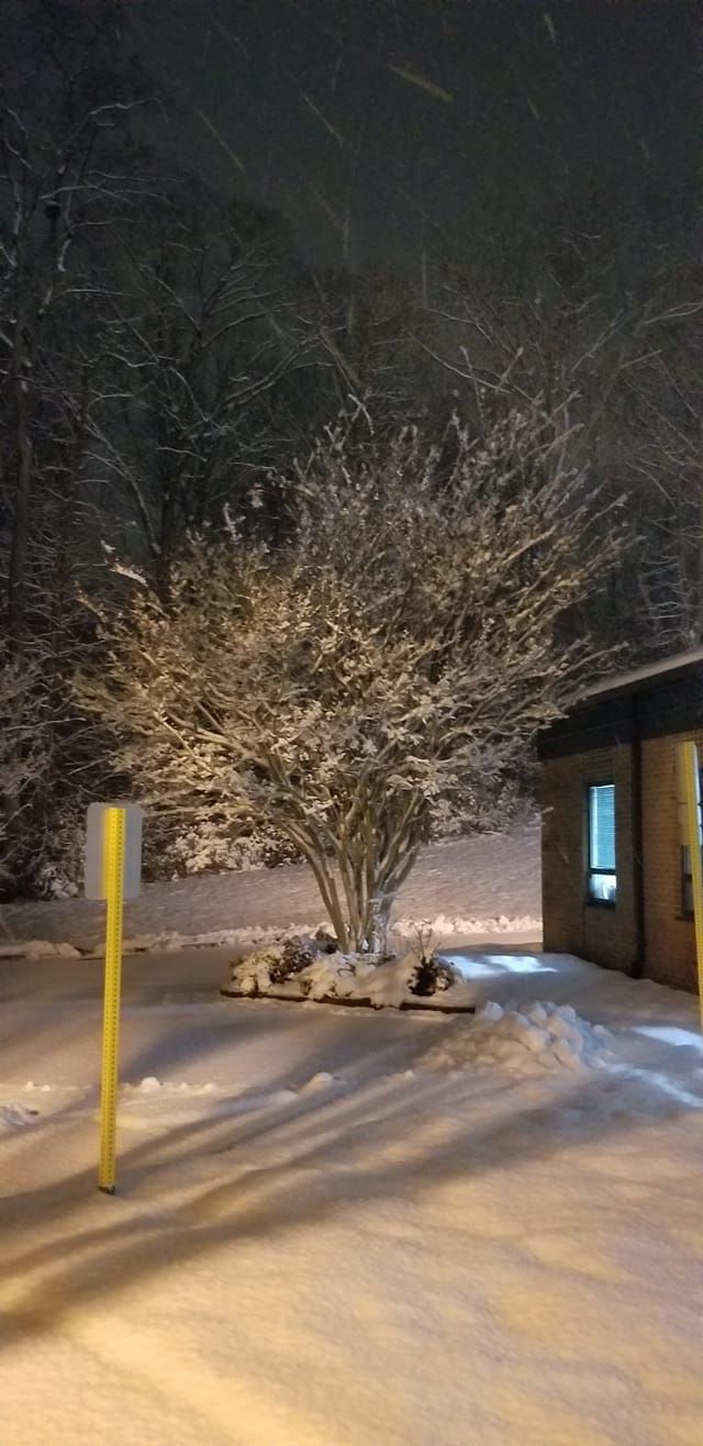 jan snow Hei Di Kov Acs.jpg