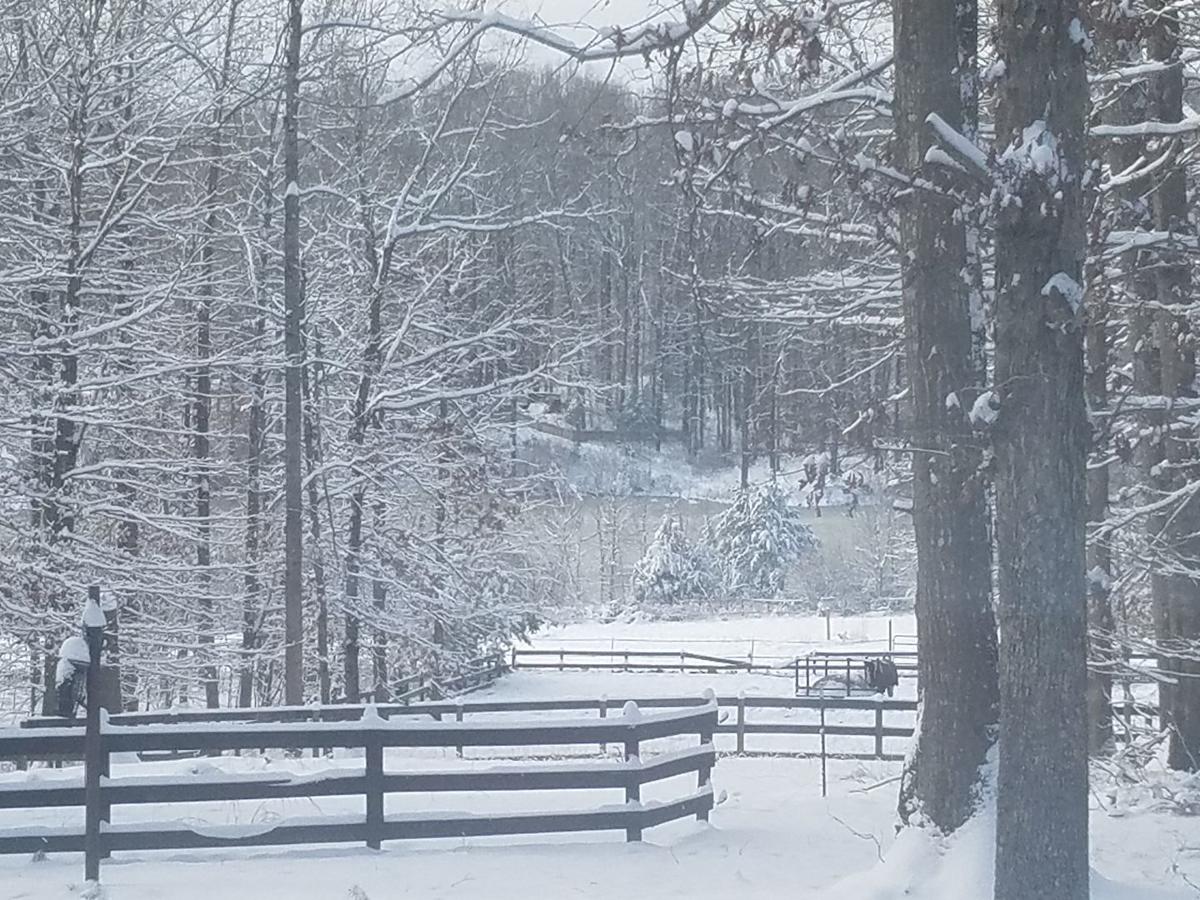 jan snow Joy Bruneau.jpg