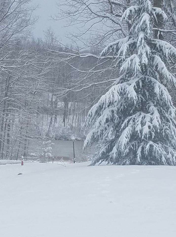 jan snow Joy Bruneau2.jpg