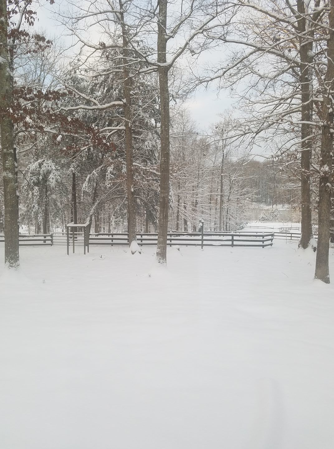 jan snow Joy Bruneau3.jpg