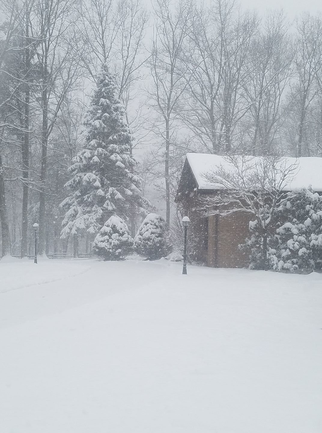 jan snow Joy Bruneau4'.jpg