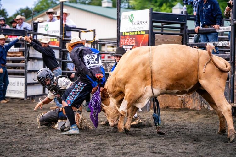 PHOTOS Bucking bulls and bull riders at the 2024 Fauquier County Fair