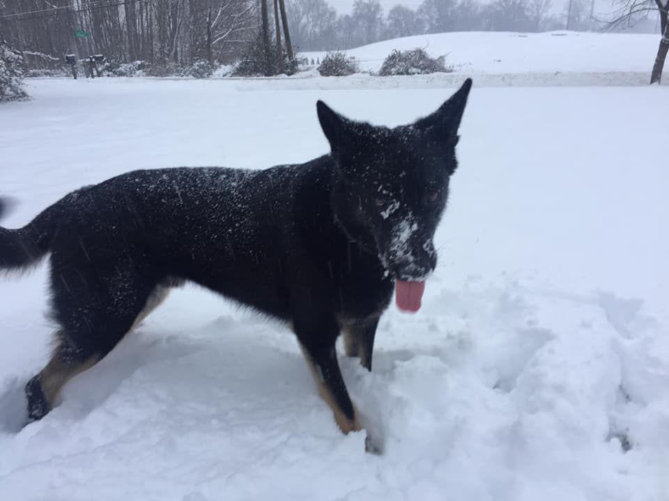 jan snow Matthew Hays.jpg
