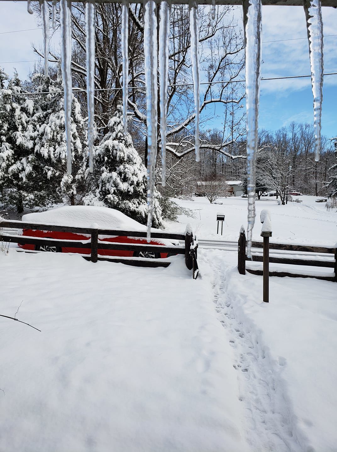 jan snow Tracy Racey.jpg