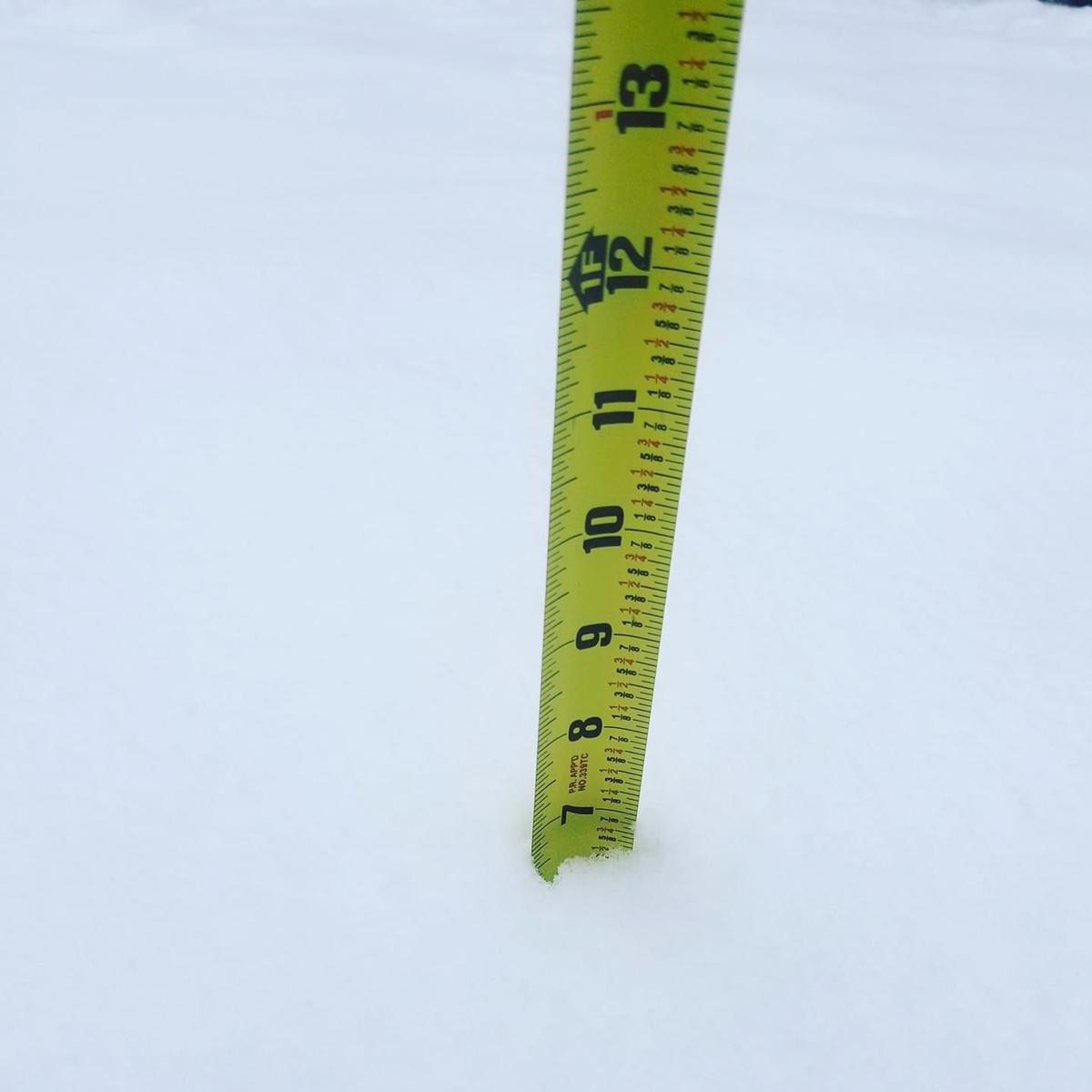 jan snow William Ramirez WizzyWill.jpg
