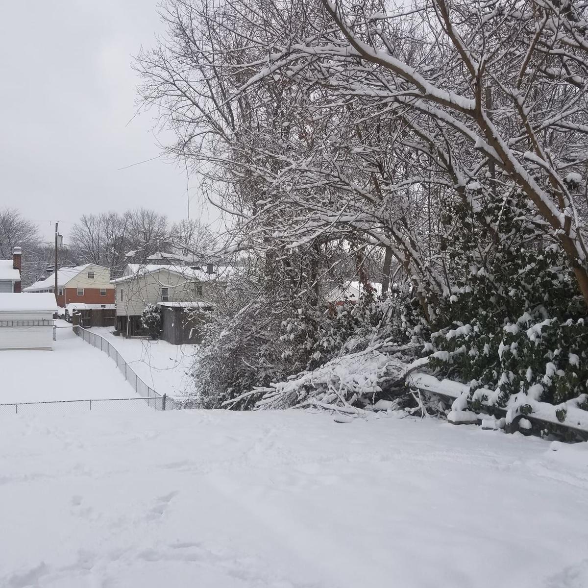 jan snow William Ramirez WizzyWill2.jpg