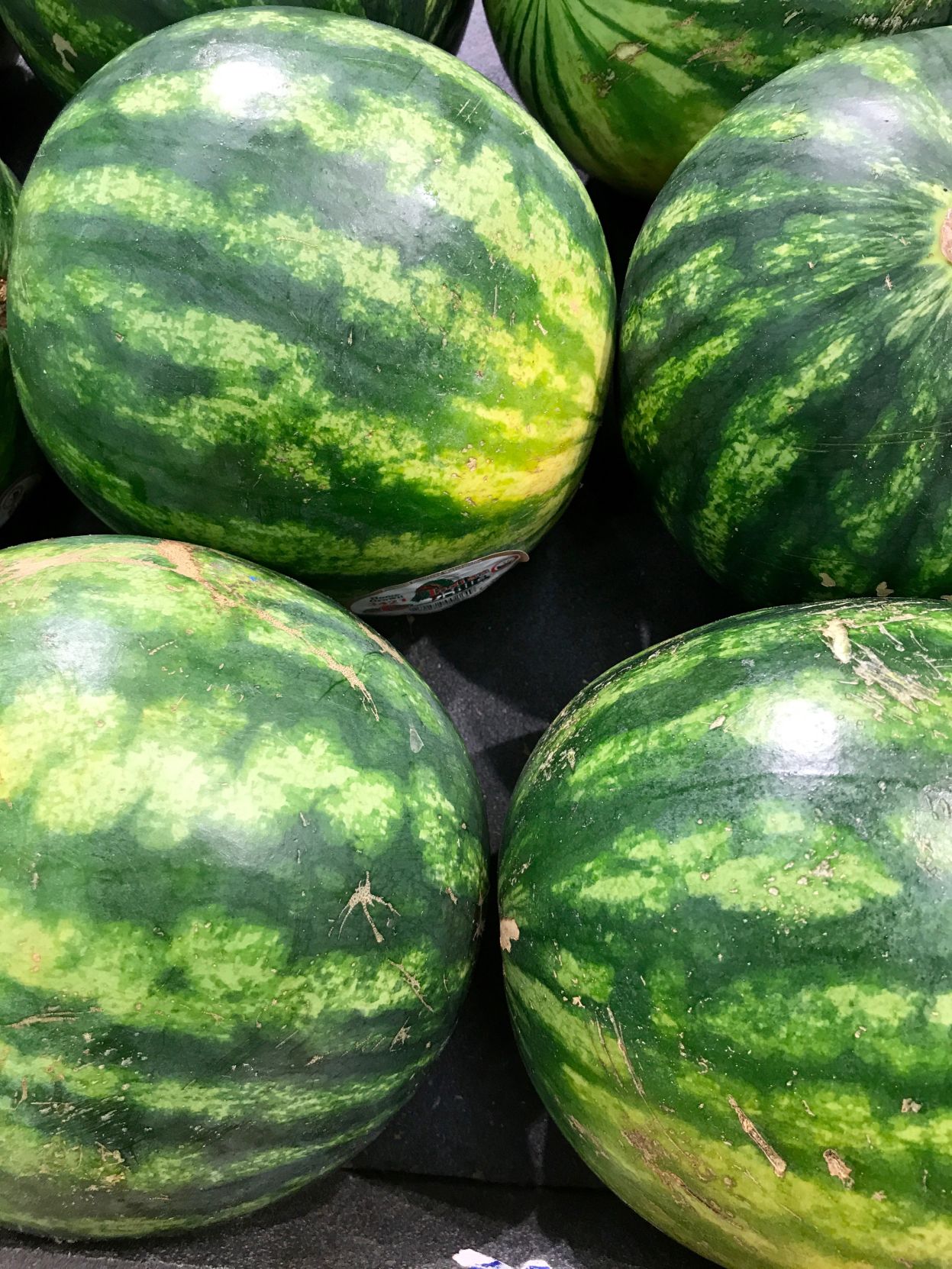 Time For Watermelons Take Your Pick Of Size Shape Or Color News   5b6723fe1123e.image 