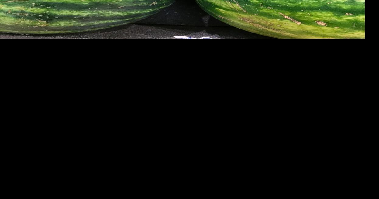 Time for watermelons: Take your pick of size, shape or color | News ...