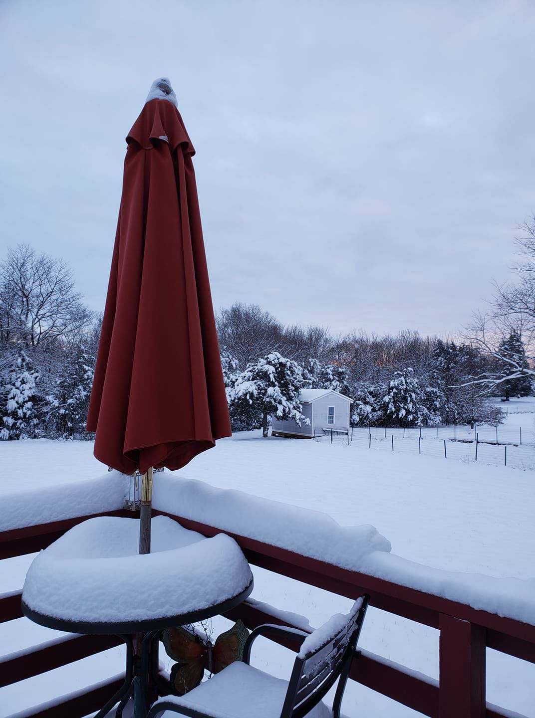 snow Lourdes Giron Tang2.jpg