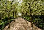 Historic Garden Week returns to Warrenton