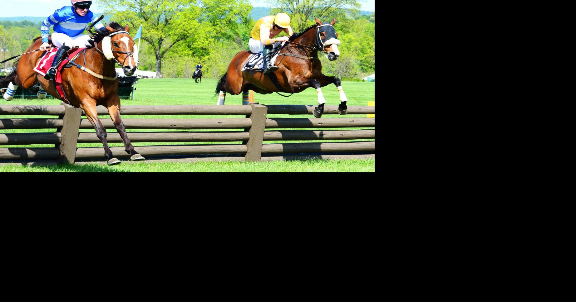 Virginia Gold Cup winner Mystic Strike, 14, proves age is ‘just a