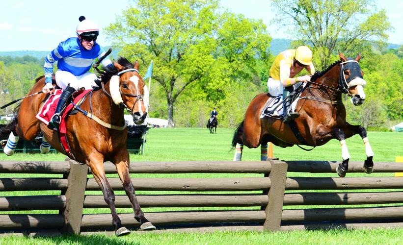 Virginia Gold Cup winner Mystic Strike, 14, proves age is ‘just a