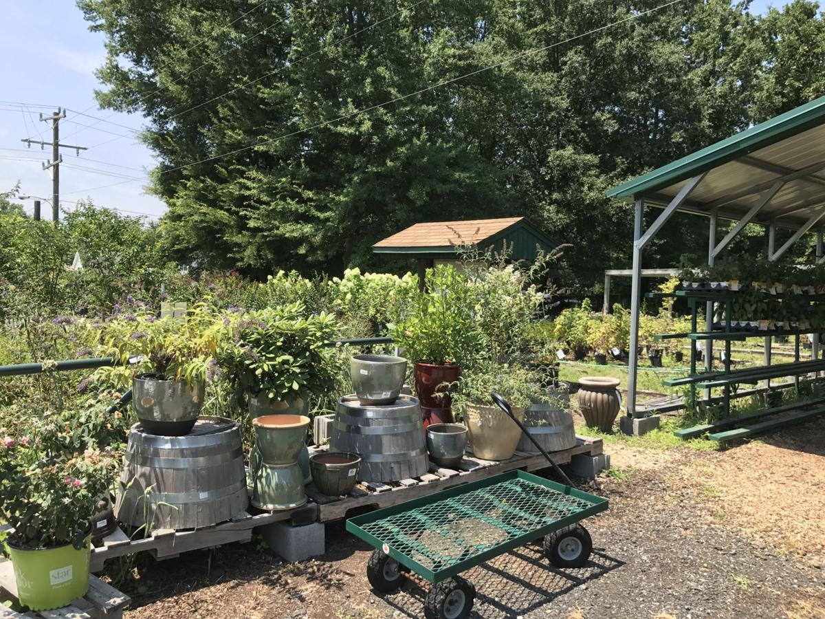 Roy Lambert Offers Farm Supplies From The Essential To The Eccentric News Fauquier Com<script async src=