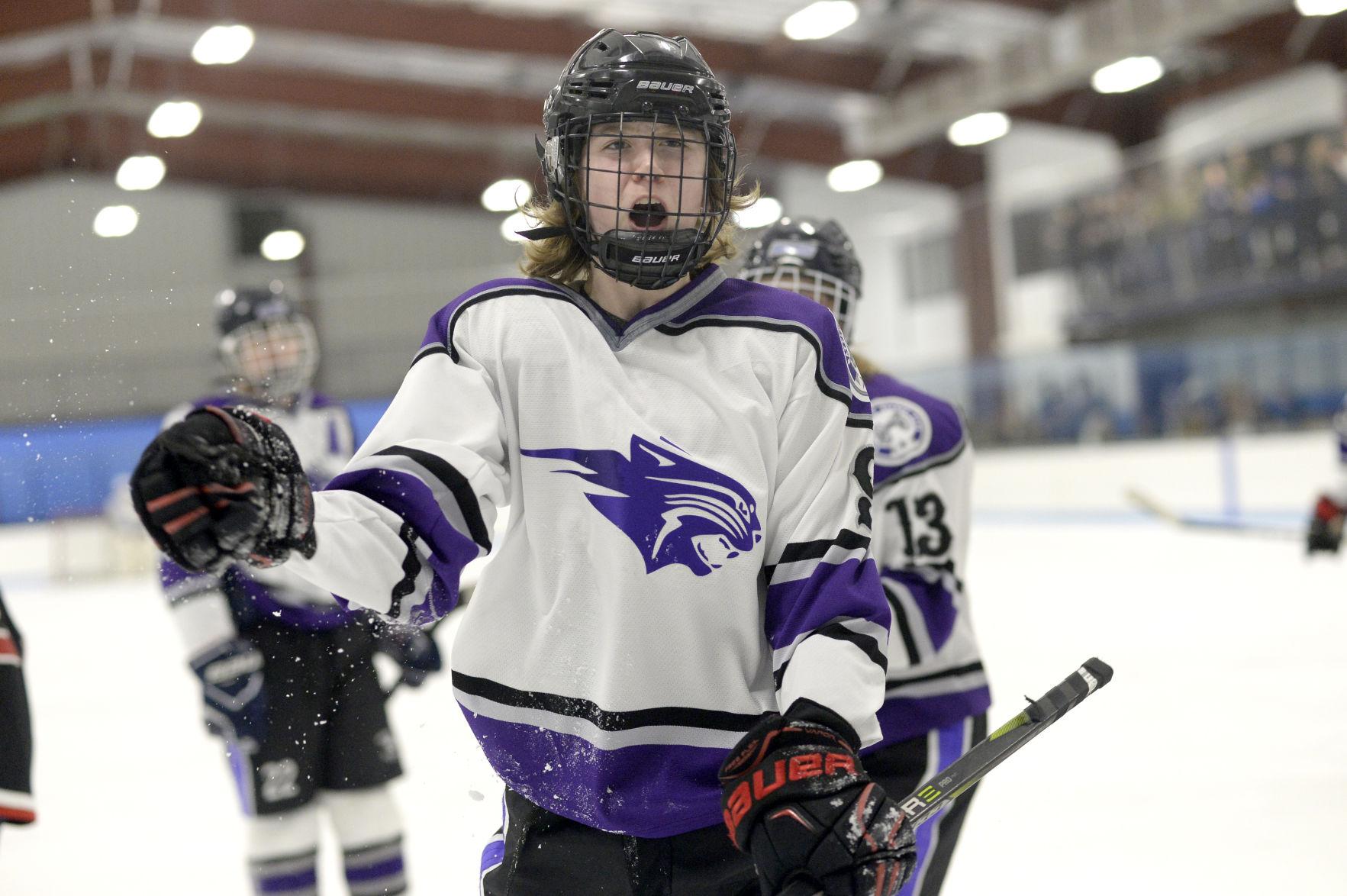 Expanded Haymarket IcePlex caters to future Ovechkins, Peggy Flemings