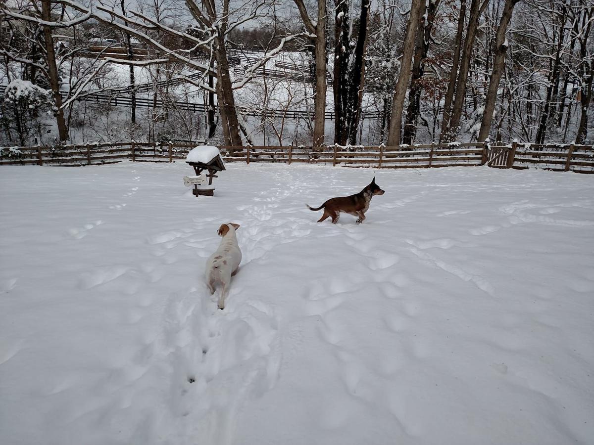 jan snow Karen Leah nokesville.jpg