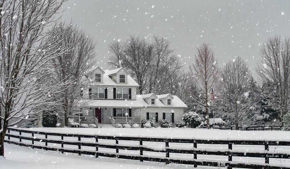 jan snow michael shaw catlett.jpg