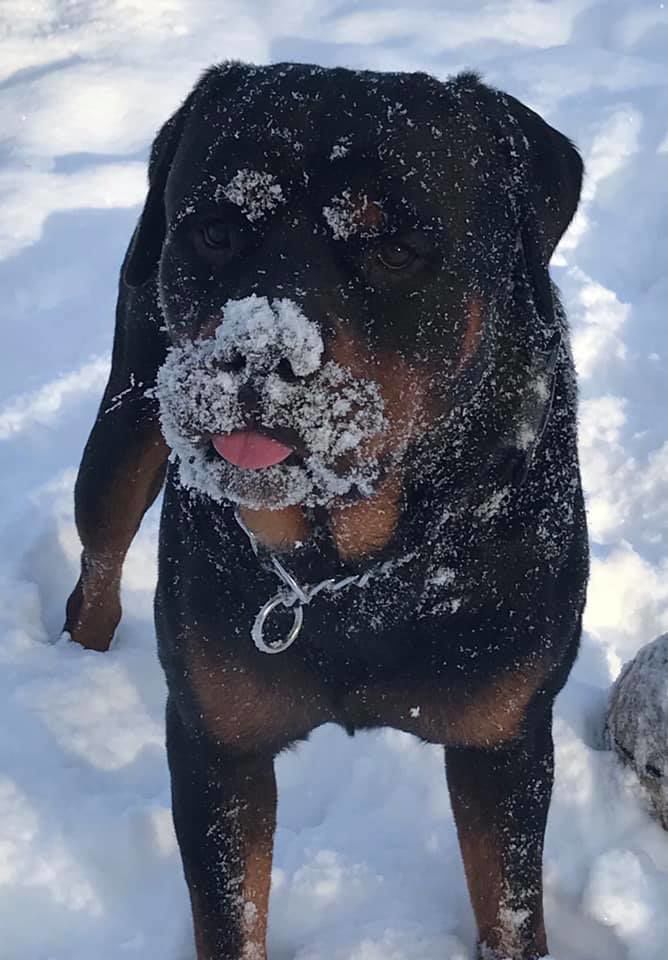 jan snow Nicole Hagy Shaw Snow beard.jpg