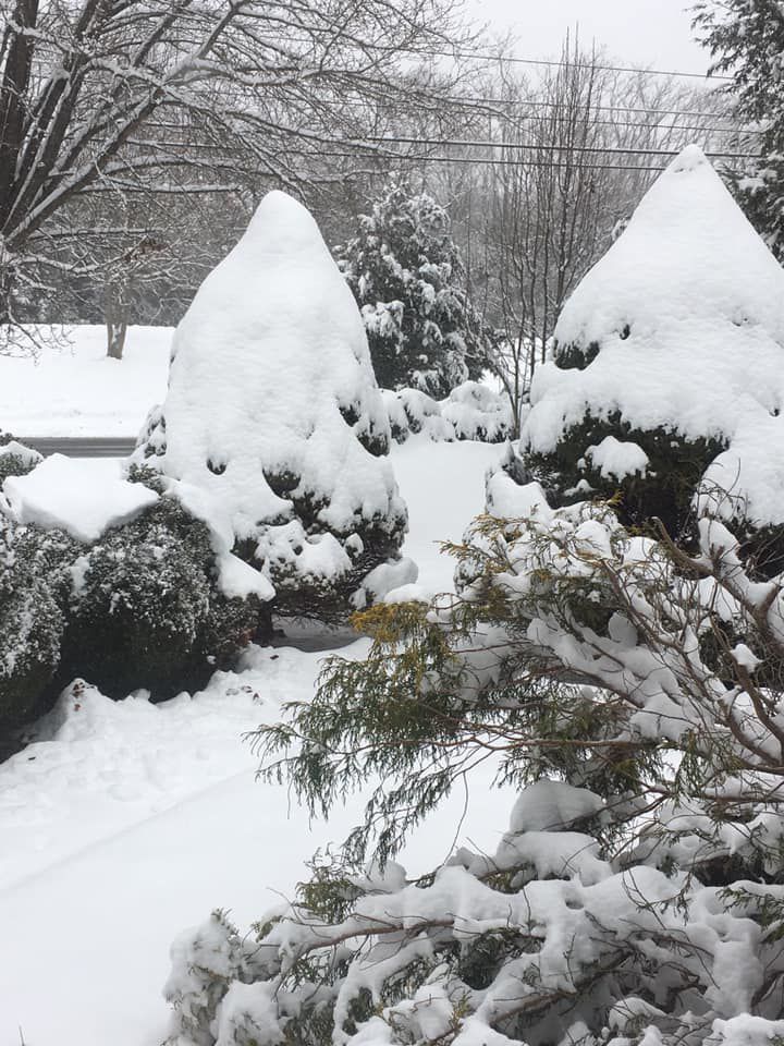 jan snow_Amy Hitt.jpg