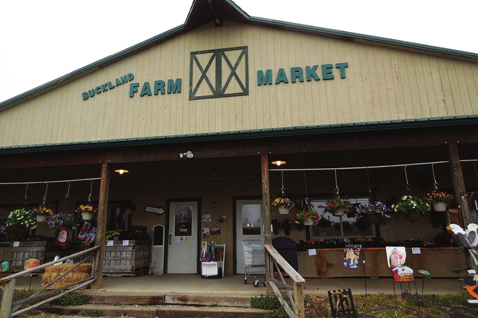 It’s about more than produce at Buckland Farm Market News