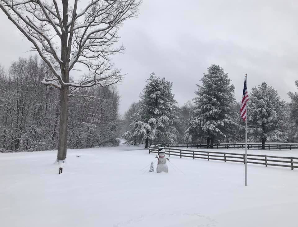 jan snow Cindi Willemsen Midland VA.jpg