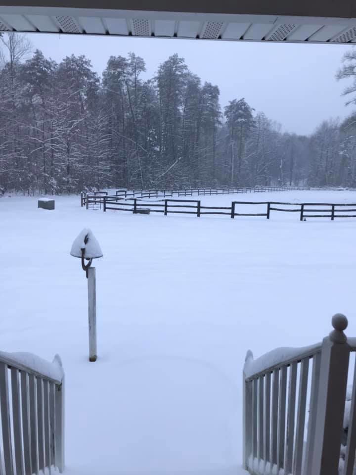 jan snow Jane Simpson Midland .jpg